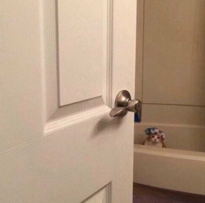 Gonk